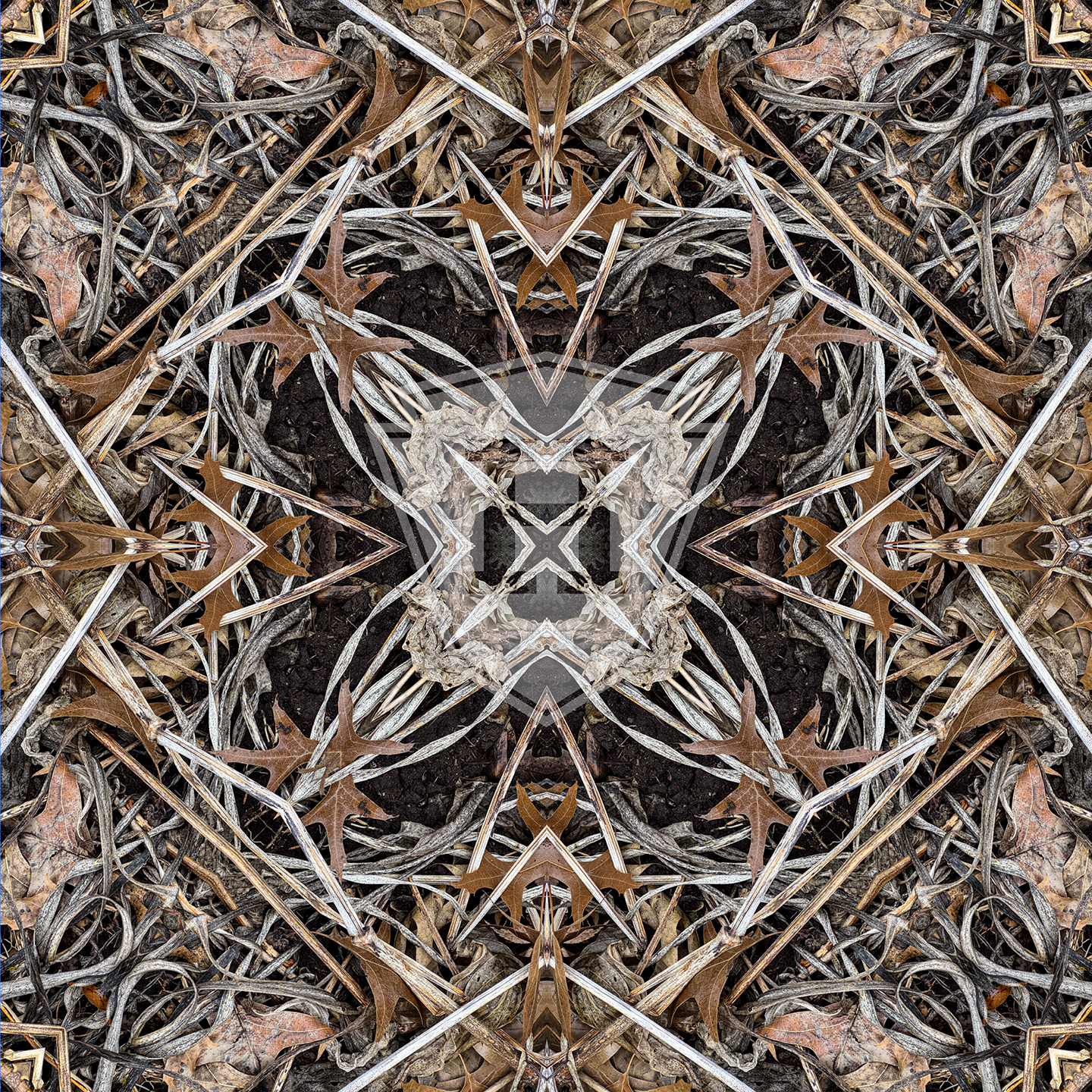 Hosta Cross 2025 III - 12x12" Print