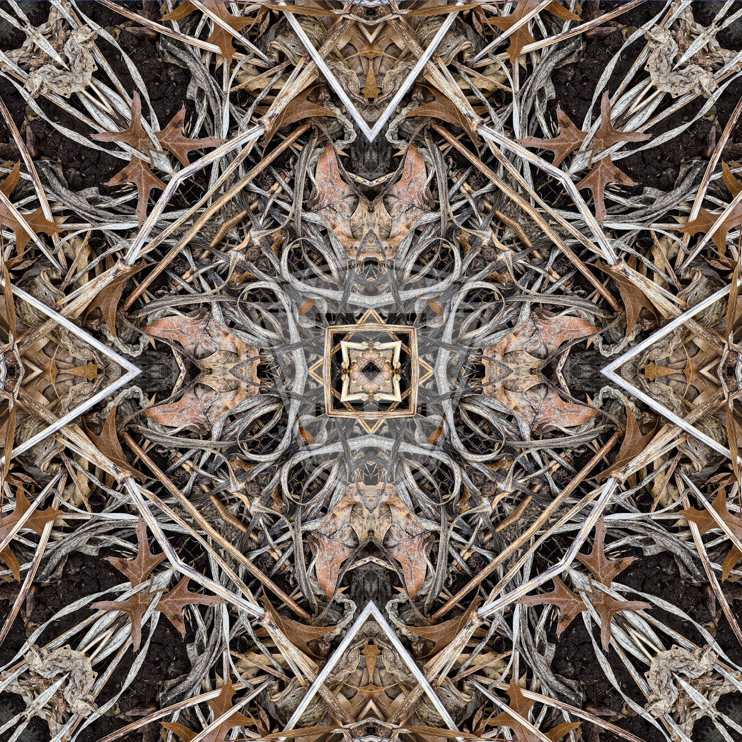 Hosta Cross 2025 V- 12x12" Print