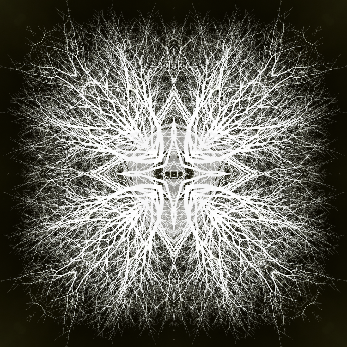 Silver Oak Organic Cross 2023 - 12x12" Print