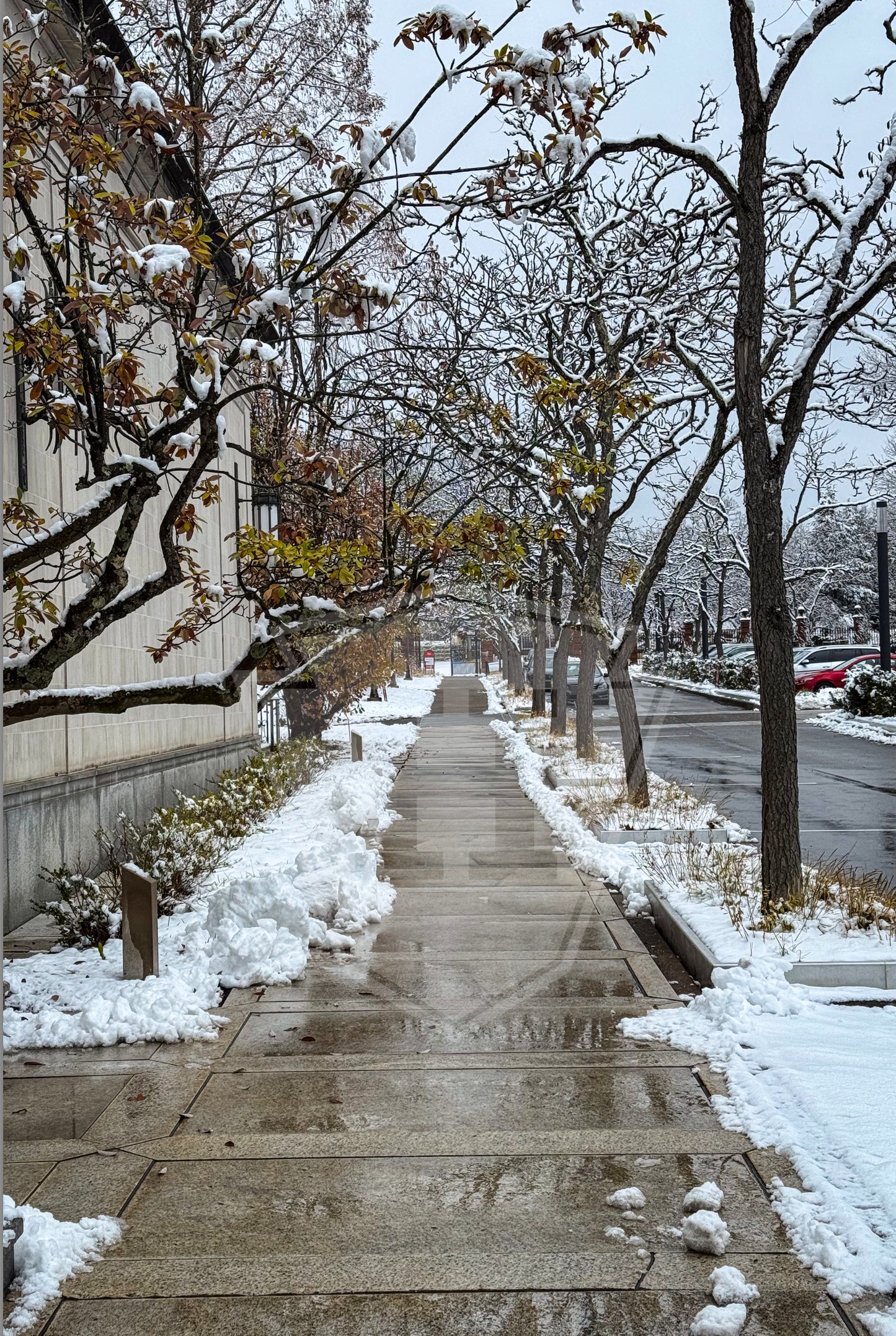 Frick Walk - 12x18" Print