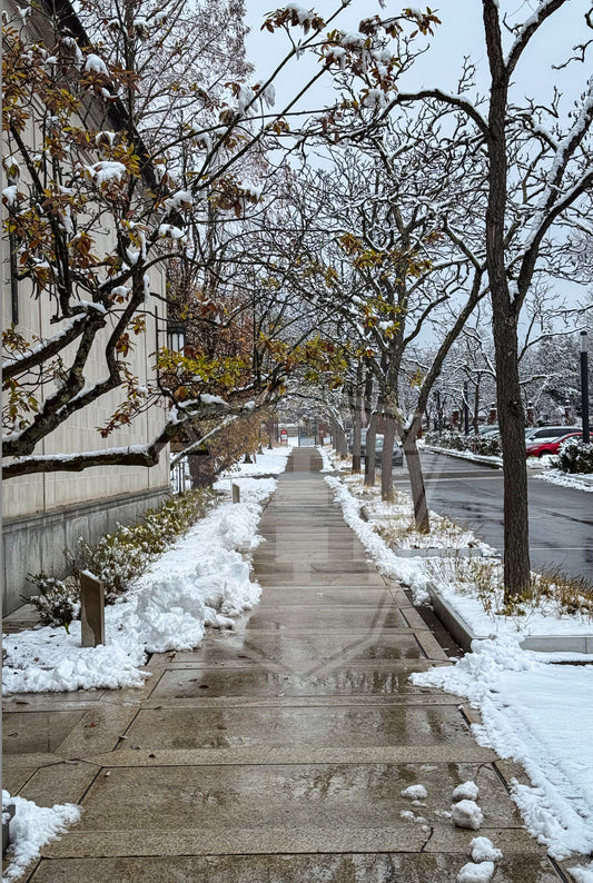 Frick Walk - 12x18" Print