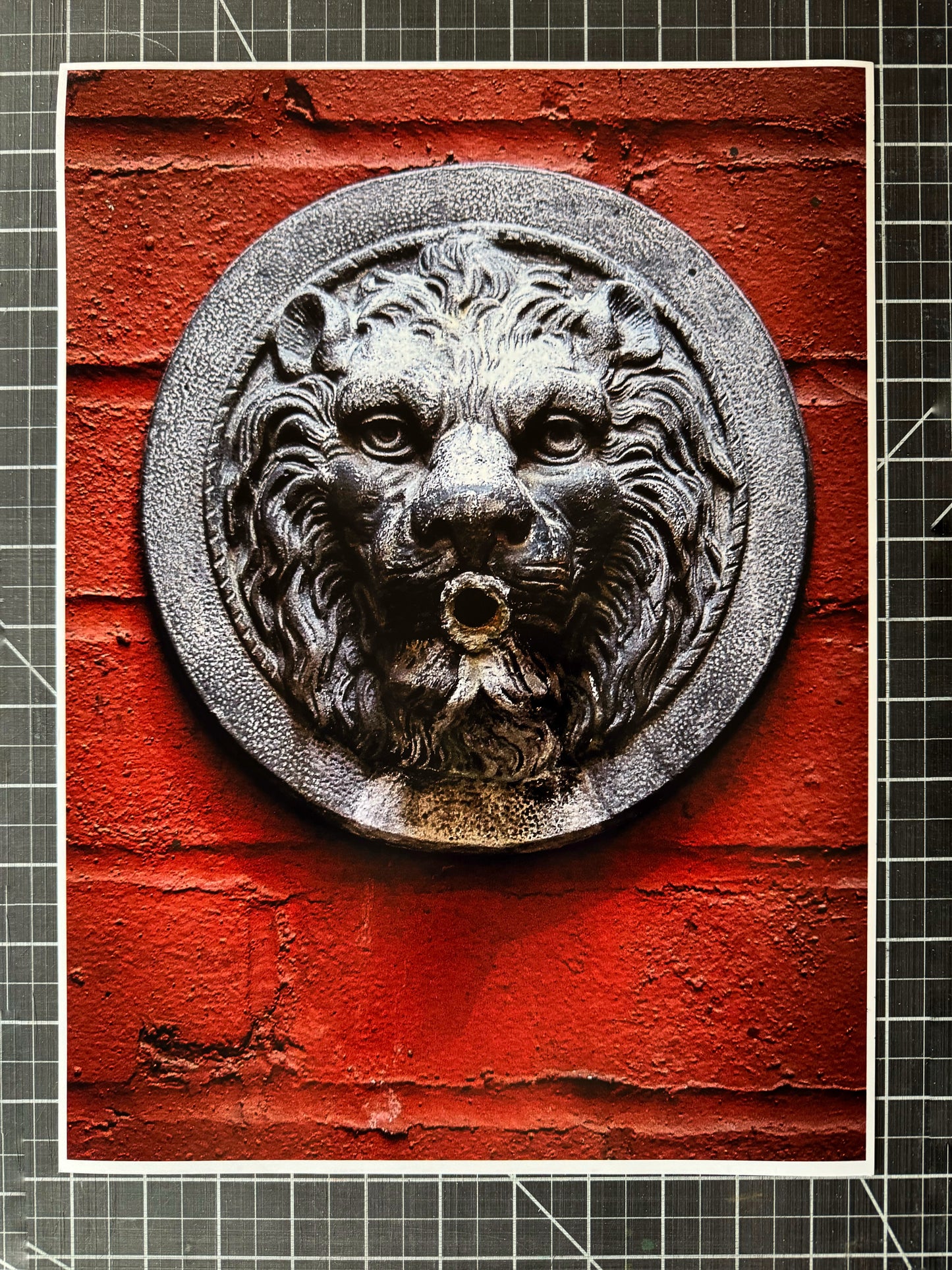 Red Lion - 11x14" Print