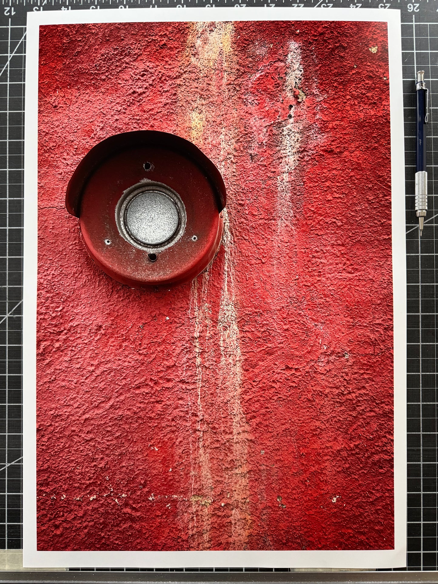 Red Eye - 12x18" Print