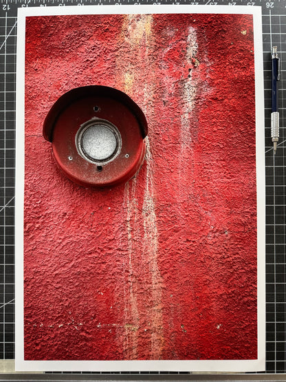 Red Eye - 12x18" Print