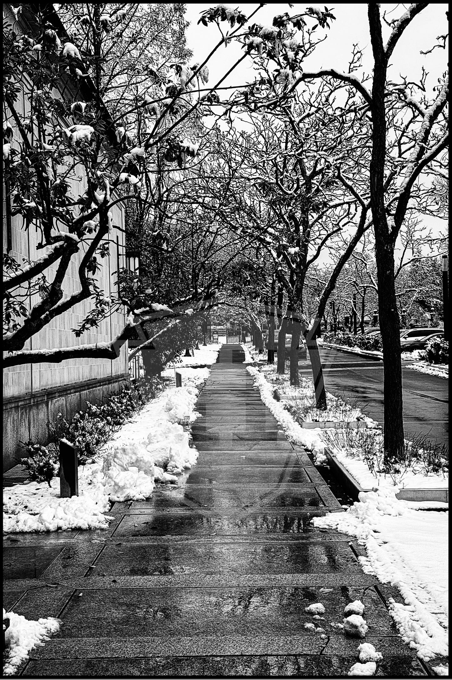 Frick Walk B&W - 12x18" Print