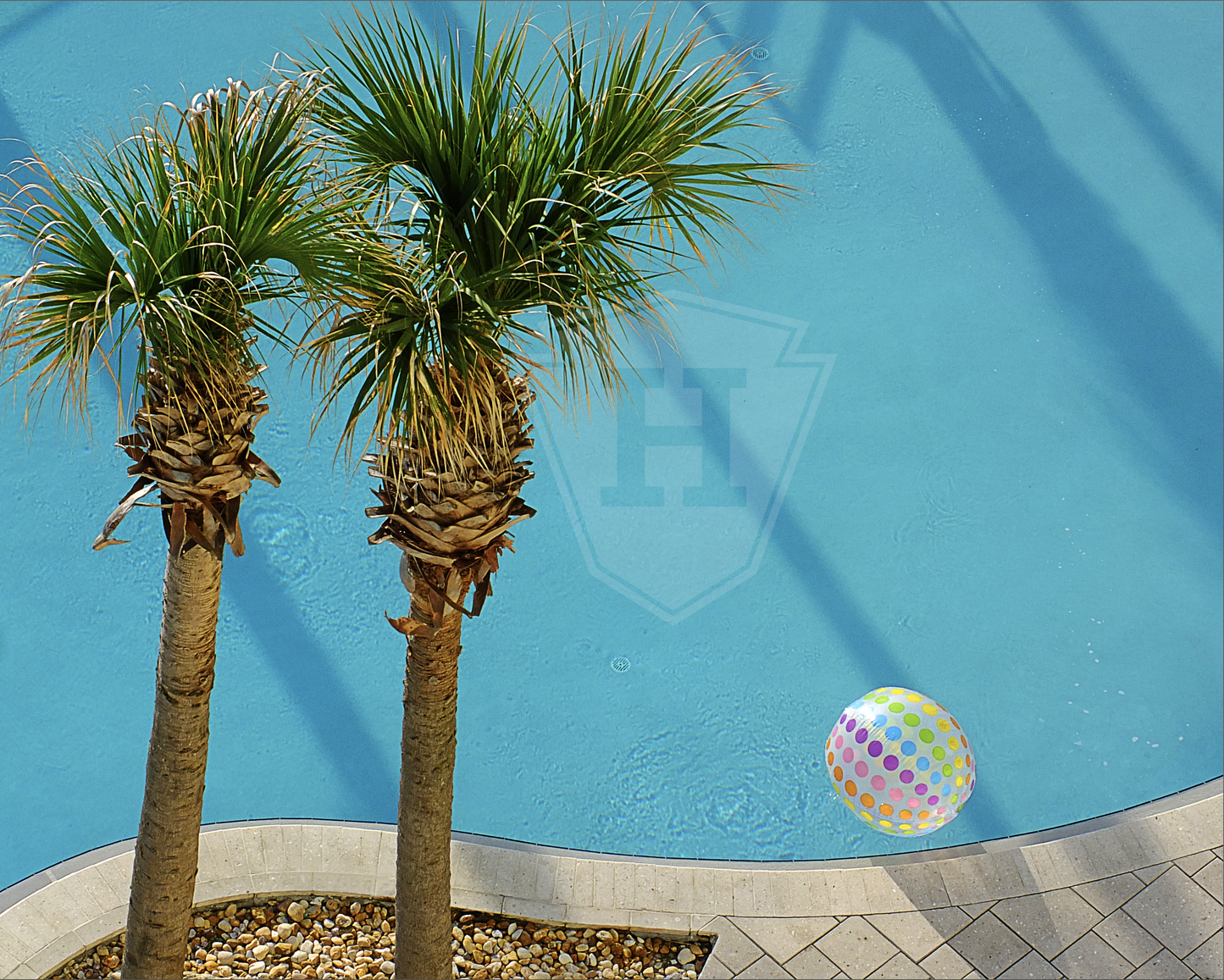 Pool & Palmettos - 10x8" Print