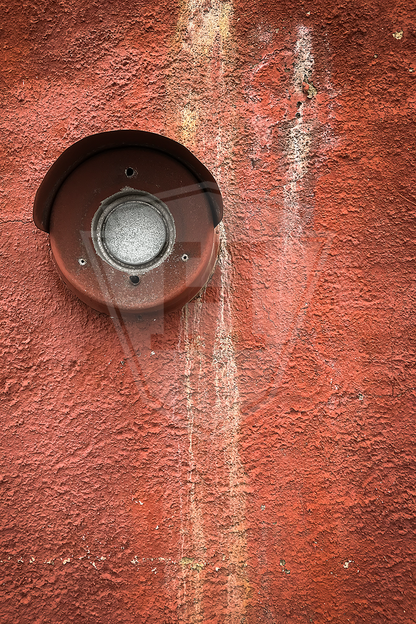 Red Eye - 12x18" Print