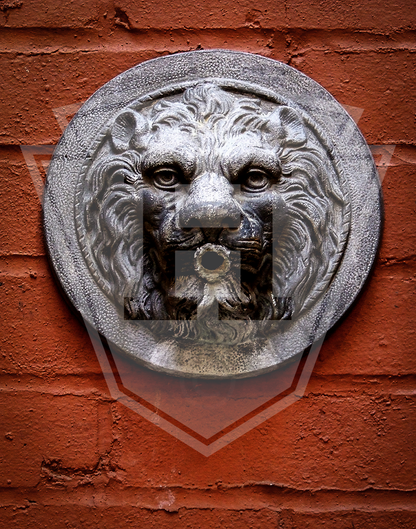 Red Lion - 11x14" Print